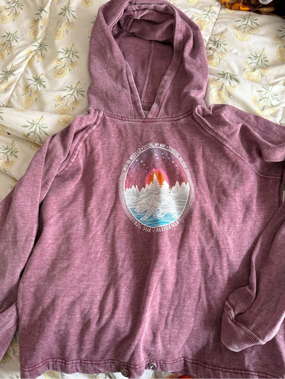 Blue 84 Big Sur CA retro Pullover Hoodie size XL Into the wild